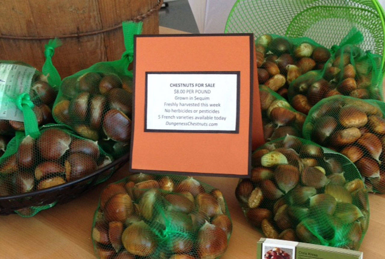 Dungeness Chestnuts owners look to fuel farm-to-table movement with Sequim-friendly product