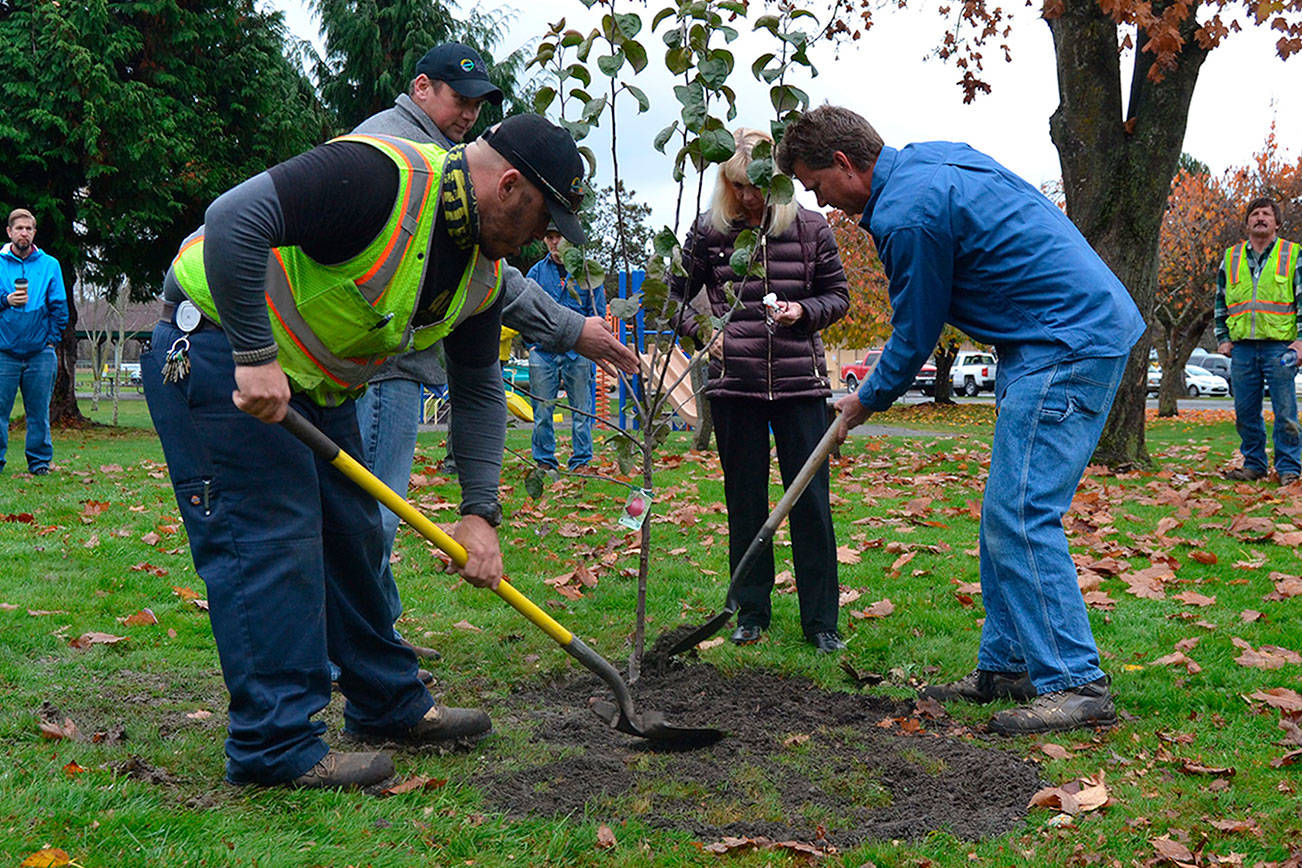City plants tree to remember former employee