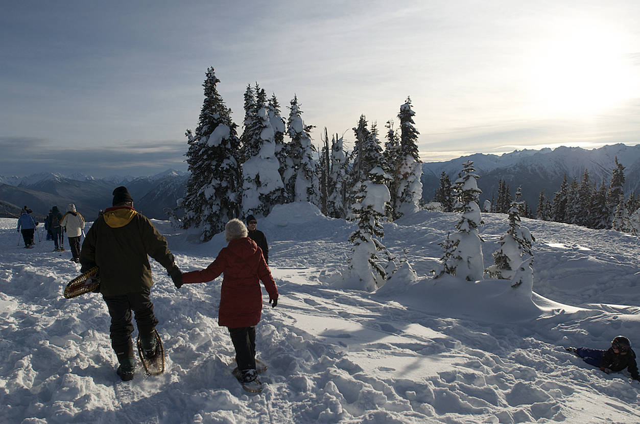 Through the end of March 2019, snow permitting, families can join a ranger-guided snowshoe walk at Hurricane Ridge. Walks are offered at 2 p.m. weekends and holiday Mondays. The walk lasts 1.5 hours and covers less than a mile. Snowshoes and instructions are provided. Sequim Gazette file photo