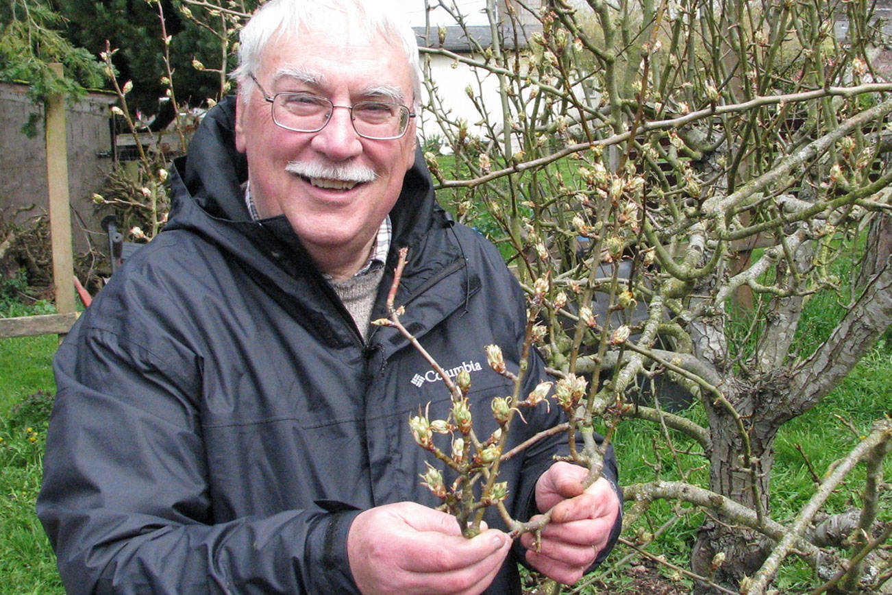 Learn about controlling pests in home orchards