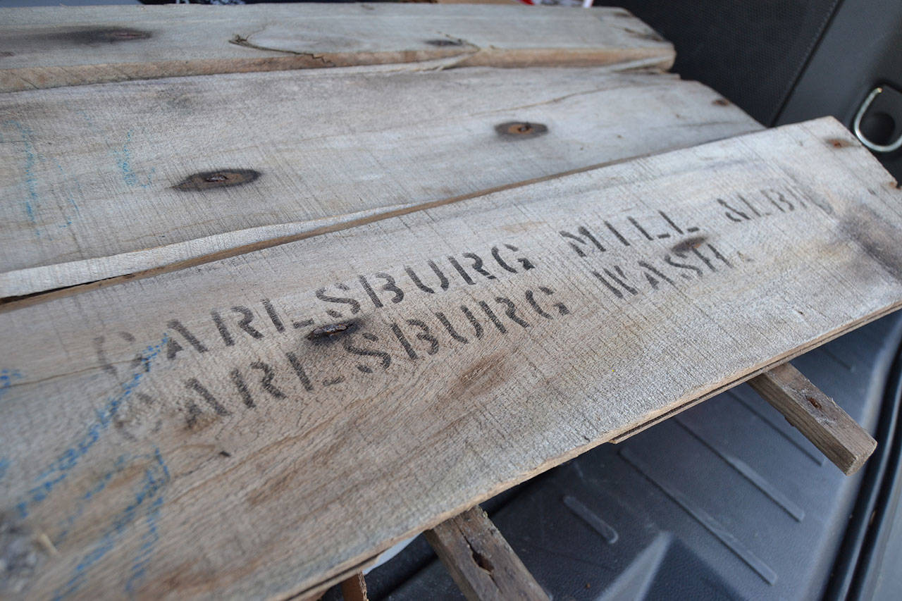 With people pronouncing Carlsborg as “-borg” and “-berg,” this shingle spelling it “Carlsburg” found by Judy Reandeau Stipe, executive director of the Sequim Museum & Arts, adds another layer into why people may have started saying “-burg/-berg” since its formation in 1915-16. Sequim Gazette photo by Matthew Nash