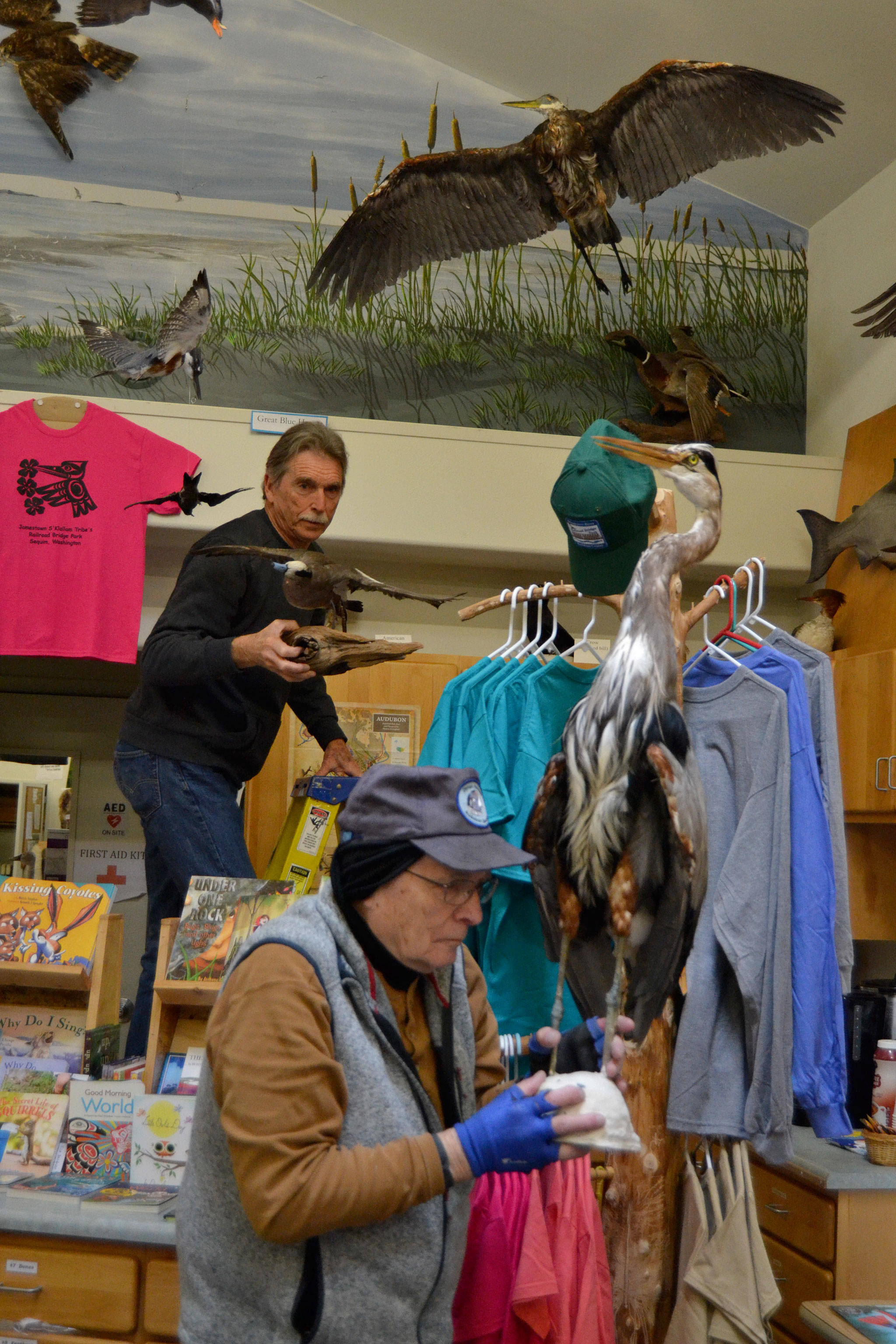 Dungeness River Audubon Center volunteers Randy Smith, left, and Ken Wiersma prepare taxidermy birds to be wrapped and eventually froze in a truck to prevent the spread of beetles in the center. Sequim Gazette photo by Matthew Nash