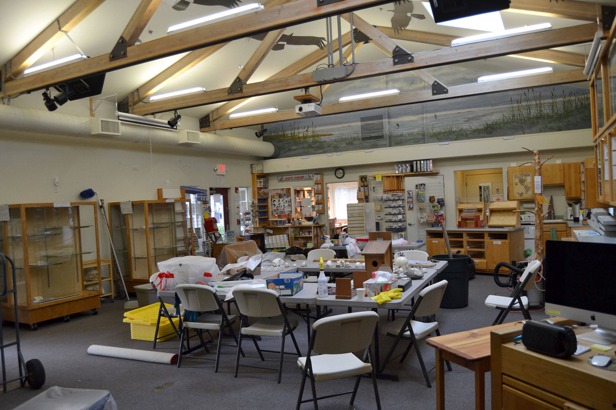 Most of the Dungeness River Audubon Center has been emptied to clean it out and remove any traces of drugstore beetles that could destroy the center’s animal collection. The center will tentatively open on or after Feb. 5. Sequim Gazette photo by Matthew Nash