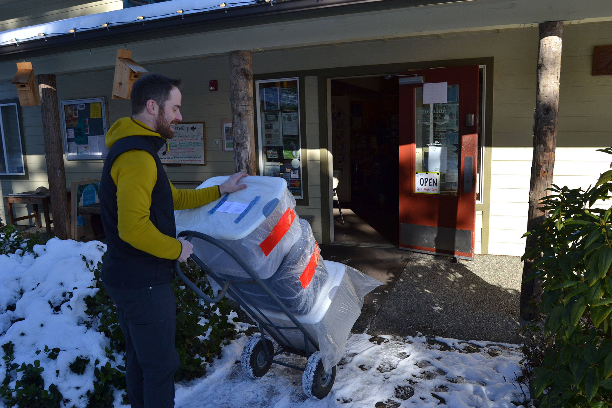 Powell Jones, the Dungeness River Audubon Center’s executive director, moves some boxes of animals back into the center on Feb. 5 after 700 mounts were frozen to prevent any drugstore beetles eating the taxidermy. Sequim Gazette photo by Matthew Nash