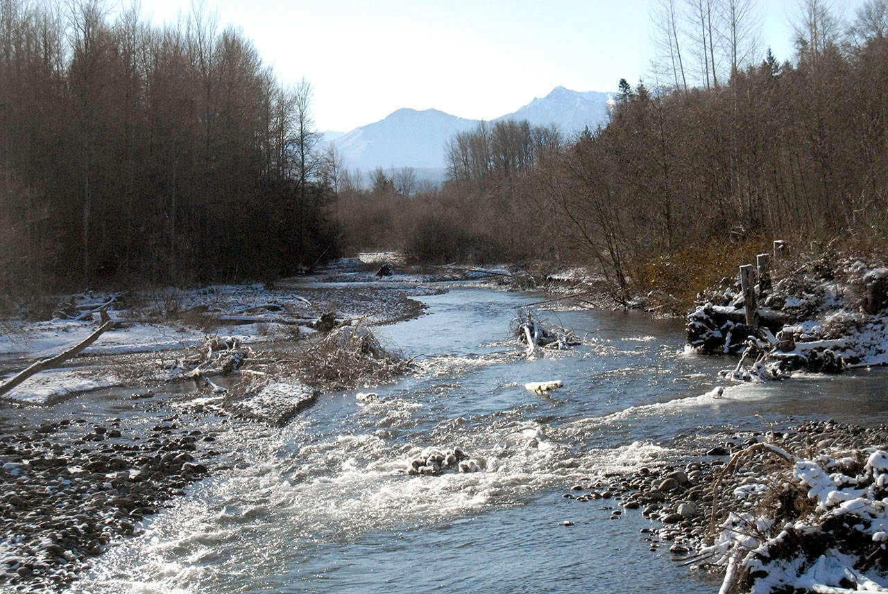 The Dungeness River flows by Railroad Bridge Park in Sequim last week. Photo by Keith Thorpe/Peninsula Daily News
