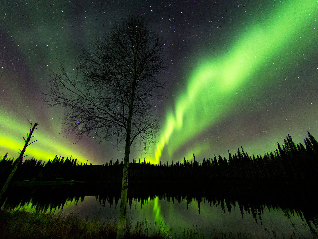 Aurora at Red Squirrel Pond in the Chena Rec Area in Alaska. Photo by Mary Campbell