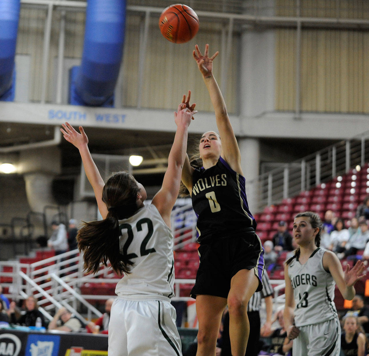 Girls basketball: PA Roughriders end Wolves’ season at state