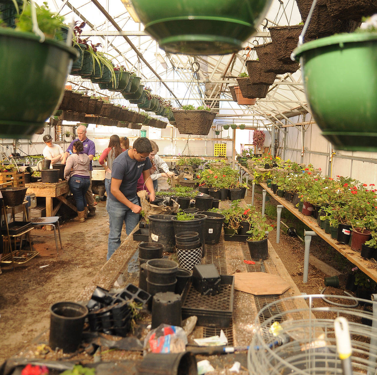 SHS plans May plant sale