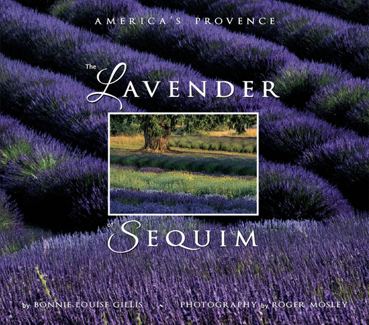 For about a year, author Bonnie Gillis has worked with local lavender farmers to create “The Lavender of Sequim: America’s Provence.” She said it’s “part garden inspiration, part lavender primer and part travel guide.” Photo courtesy of Bonnie Gillis