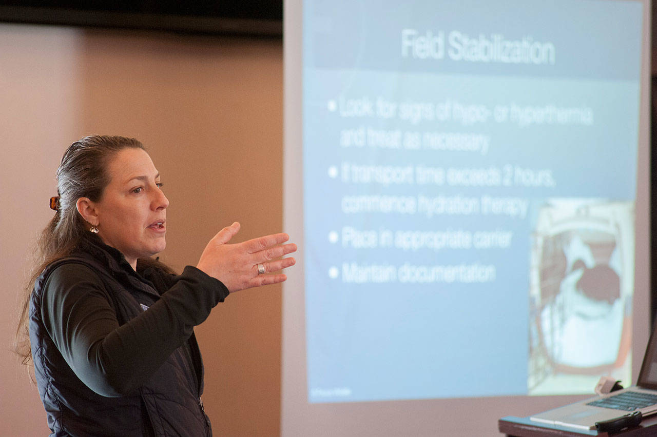Jenny Schlieps, program manager for Focus Wildlife, leads a free training class in oiled wildlife response in Sequim on April 27. Photo courtesy of Focus Wildlife