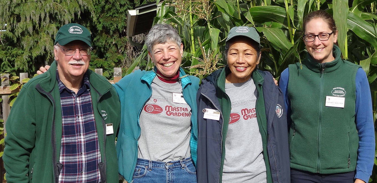 Bob Cain, Jeanette Stehr-Green, Audreen Williams and Laurel Moulton will lead a walk through the Fifth Street Community Garden, 328 E. Fifth St., Port Angeles, at 10 a.m. Saturday, April 13. Submitted photo