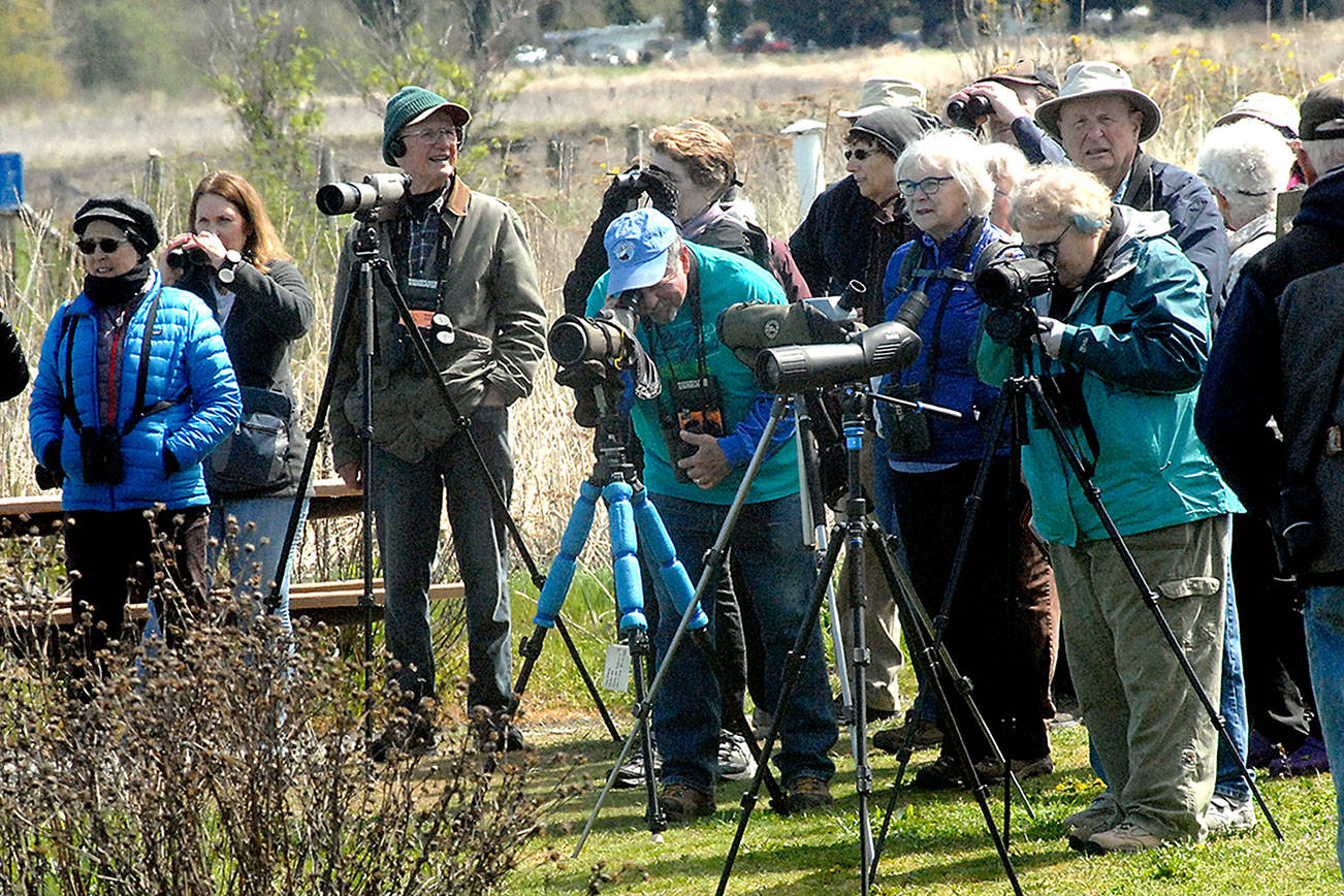 Eagle-eyed bird watchers