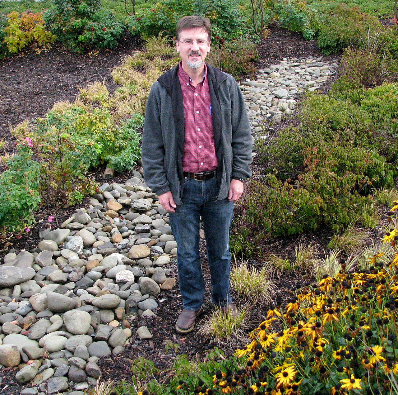 Joe Holtrop, Clallam Conservation District executive director — pictured here in the rain garden at the Clallam County Courthouse — presents “Rain Gardens and Runoff” on May 9 in Port Angeles, part of the Green Thumb Garden Tips education series sponsored by the WSU Clallam County Master Gardeners. Photo by Amanda Rosenberg