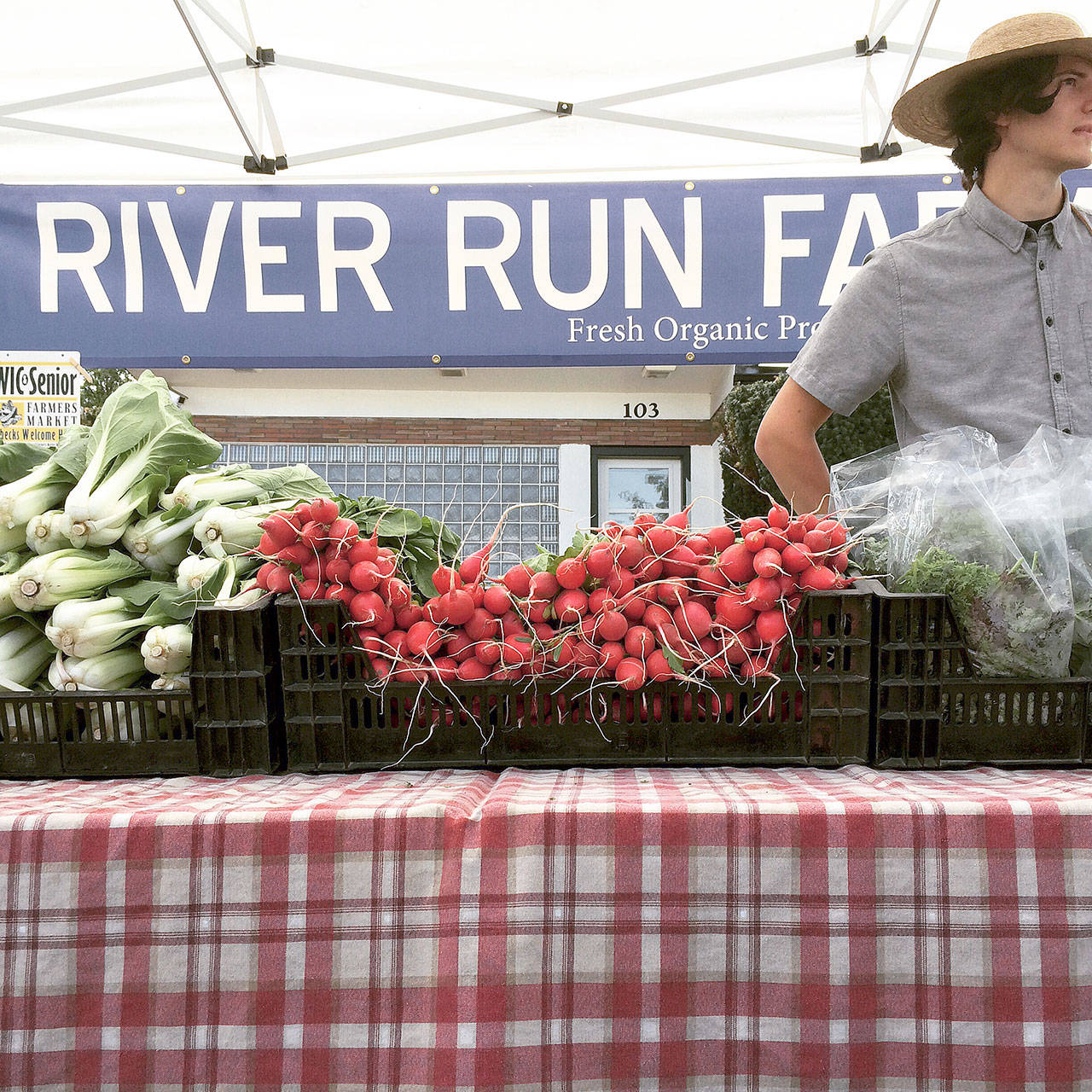 Fresh produce is available each week at the Sequim Farmers Market. Photo courtesy of April Hammerand