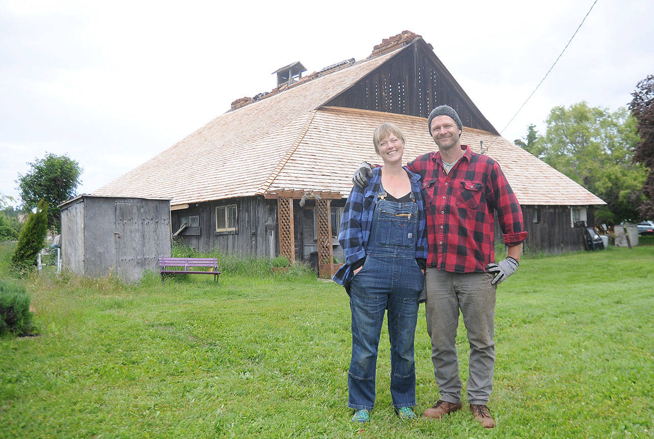 Rebecca Olson and Doug Mazzeo look to have most of the renovations to their 100-year-old-plus barn at Lavender Connection ready for the crowd of visitors on Lavender Weekend in July. The farm, owned by Richard and Susan Olson, received a state matching-funds grant to restore the barn once owned by the Lotzgesell family in the 1910s. Sequim gazette photo by Michael Dashiell