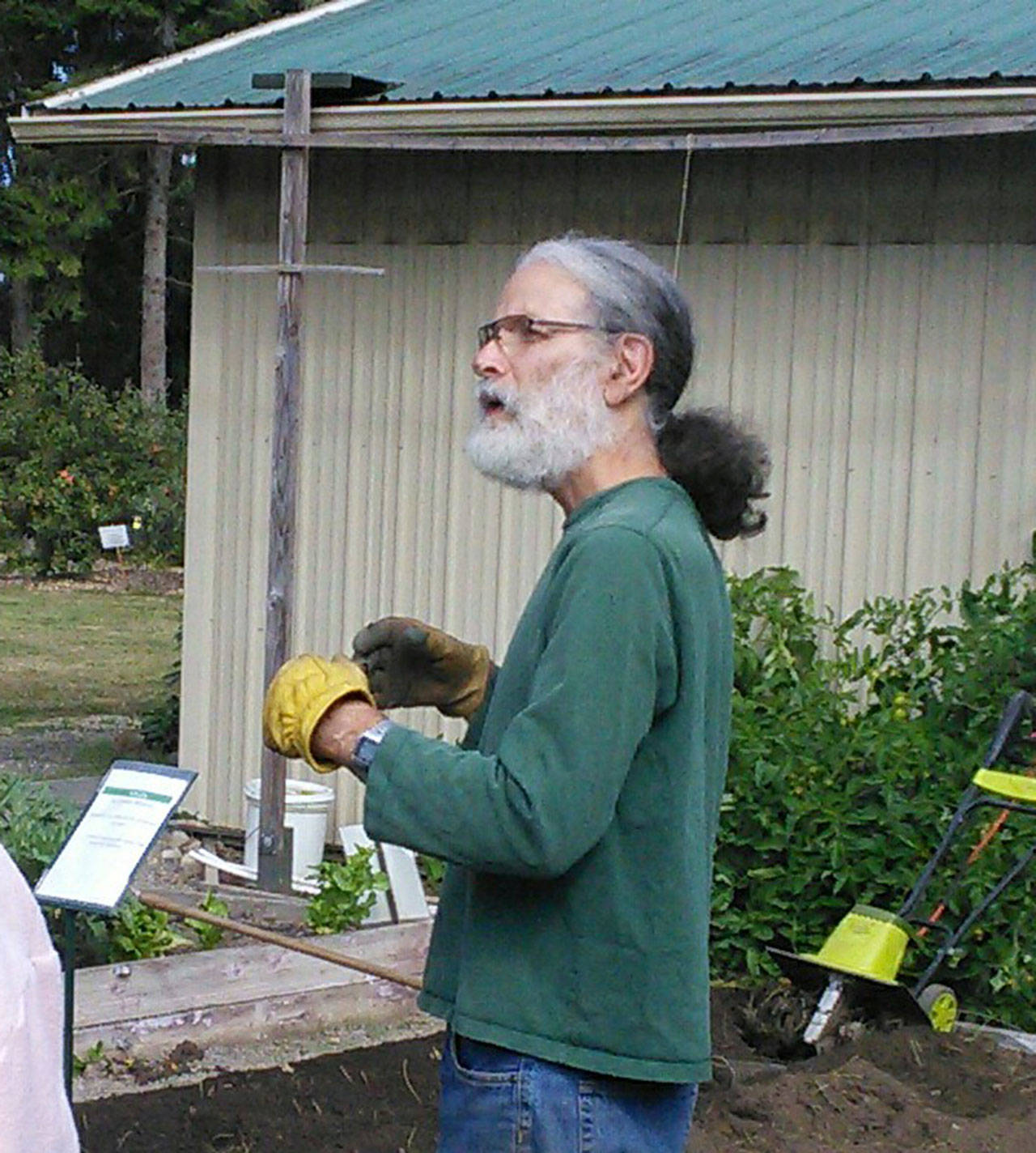 Master Gardener Al Cairo shares information about his potato bed and the value of various composted materials. Submitted photo