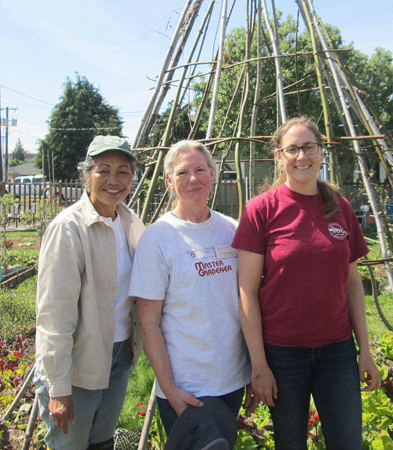 Veteran Master Gardeners, from left, Audreen Williams, Jan Bartron and Laurel Moulton will share vegetable gardening information on Saturday, June 8, at the Fifth Street Second Saturday Garden Walk in Port Angeles. Submitted photo