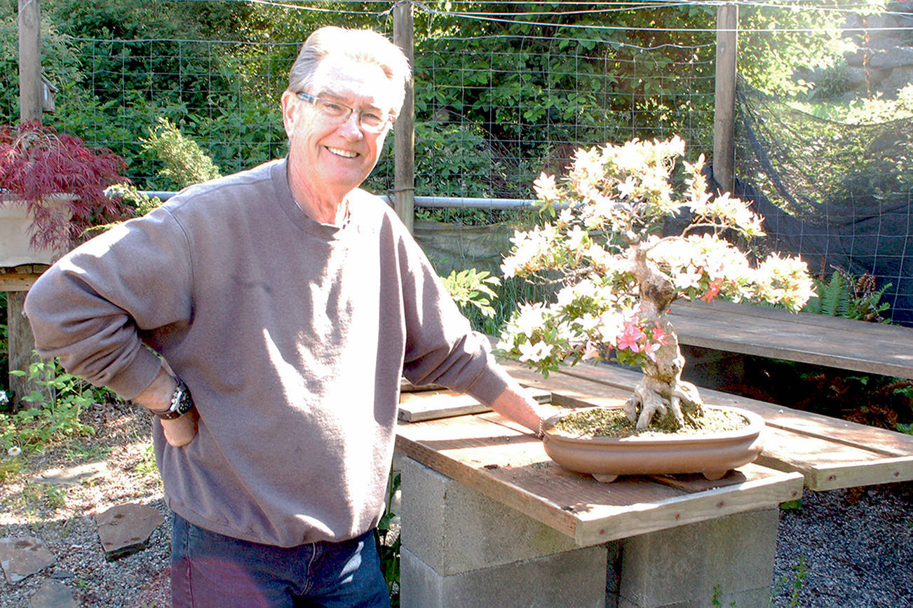 Big passion for tiny trees: Dungeness Bonsai Society host 43rd annual spring show