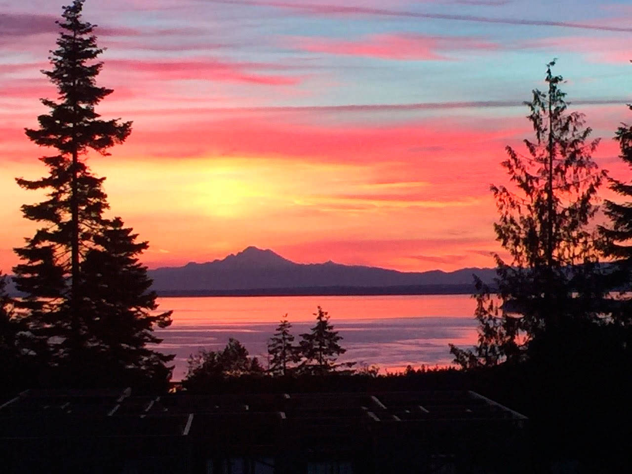 Contributor Kathryn Haskell caught this scene recently from her Sequim home. “I took this shot instinctively when our cat, Bruce, woke me at 4:26 a.m. … we call our house ‘Dreamland’ and I think this describes perfectly the picture of this magnificent sun rise,” she wrote.