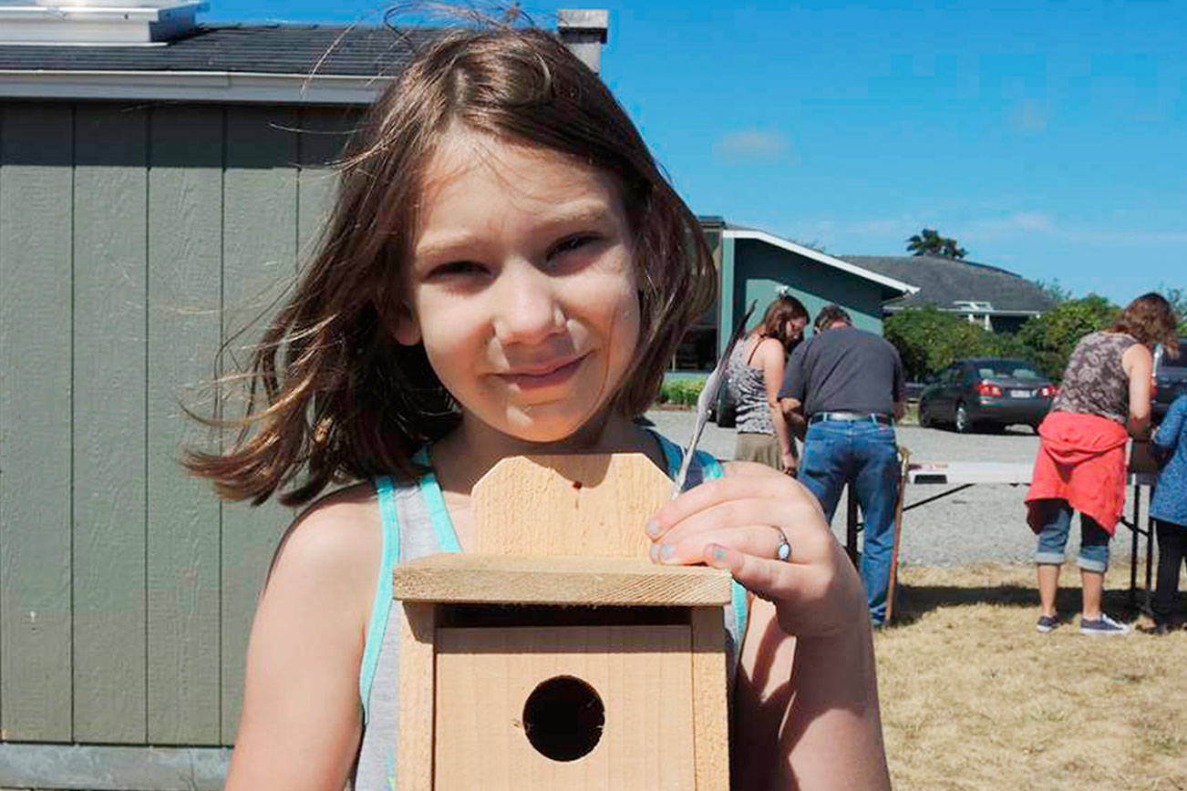 Birdhouse building sessions set at libraries