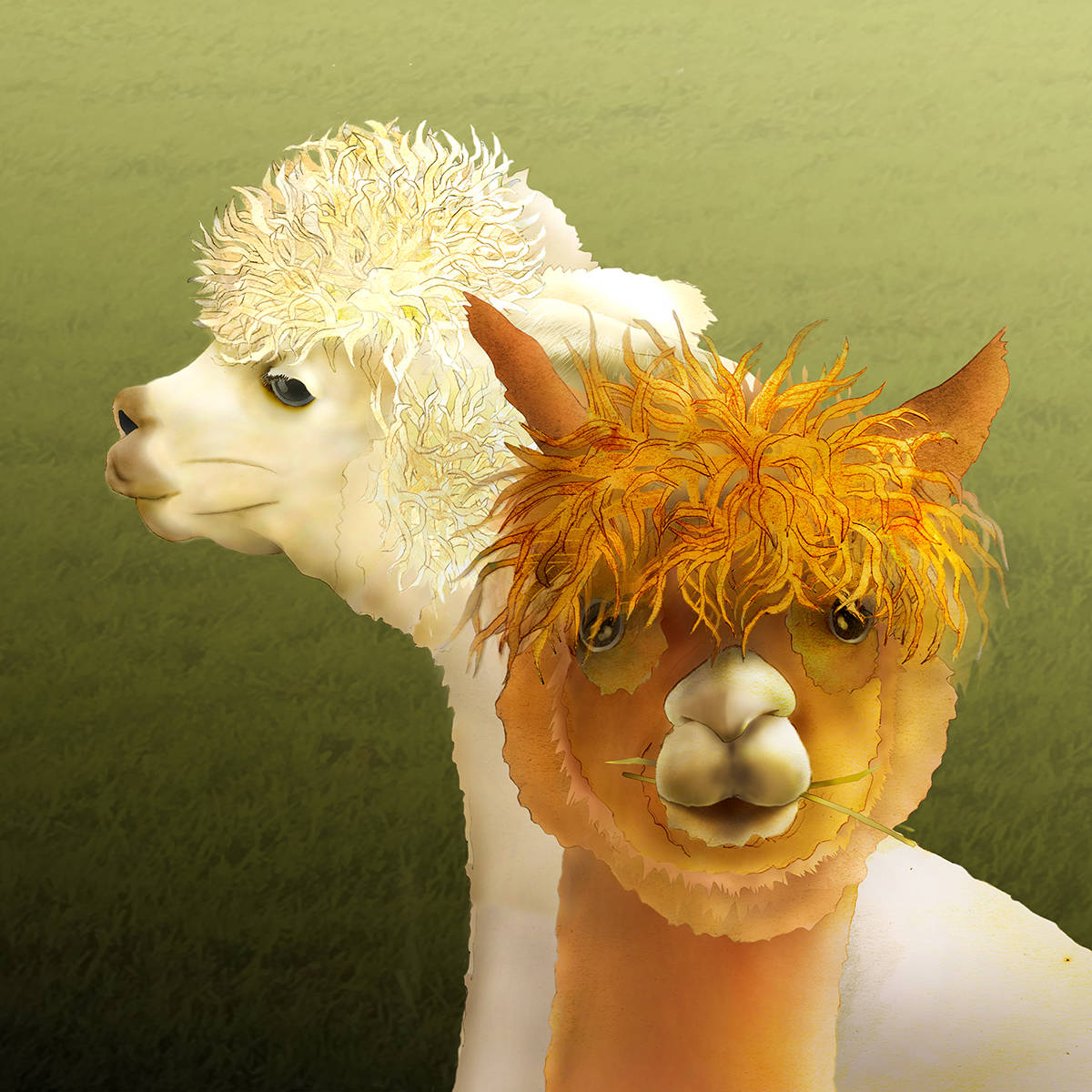 “Alpaca” by Jeannine Chappell