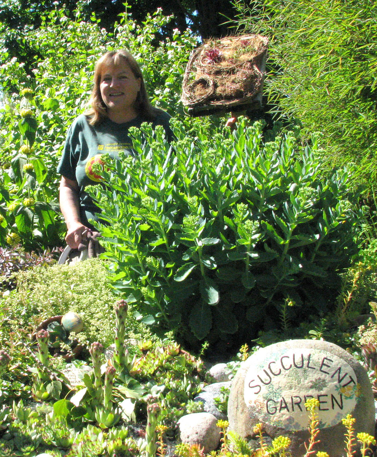 Learn about hardy succulents from an expert at Green Thumbs session