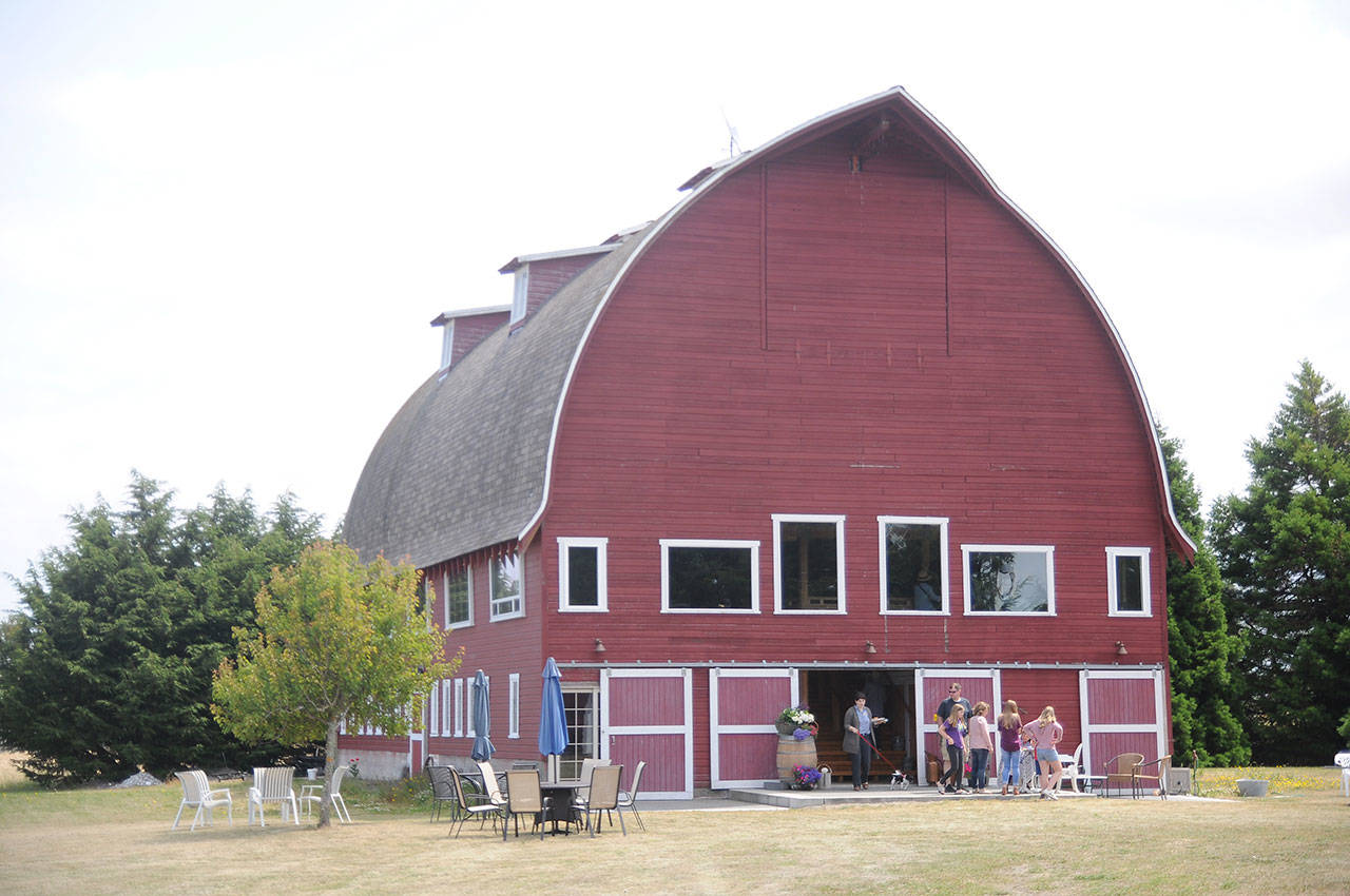 Built in 1934, the Cline Barn in Dungeness has undergone several renovations over the years. Sequim Gazette photo by Michael Dashiell