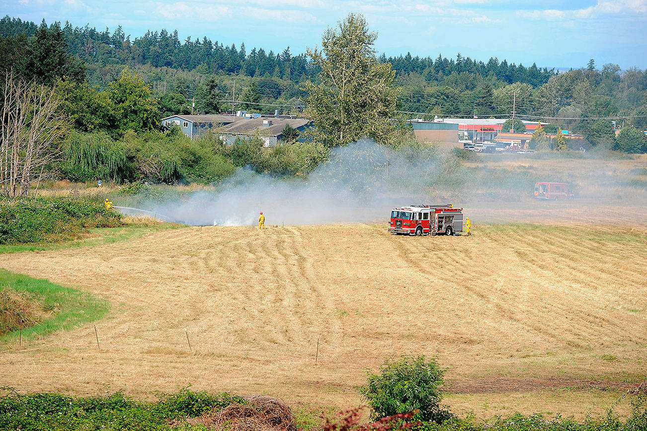 Firefighters quickly combat brush fire by highway