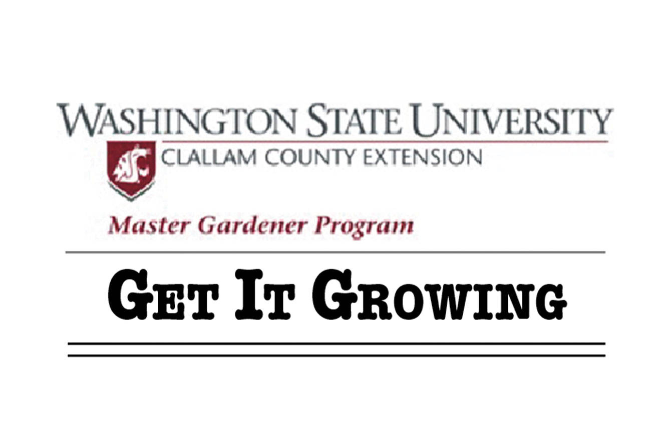 Get It Growing: Saving seeds