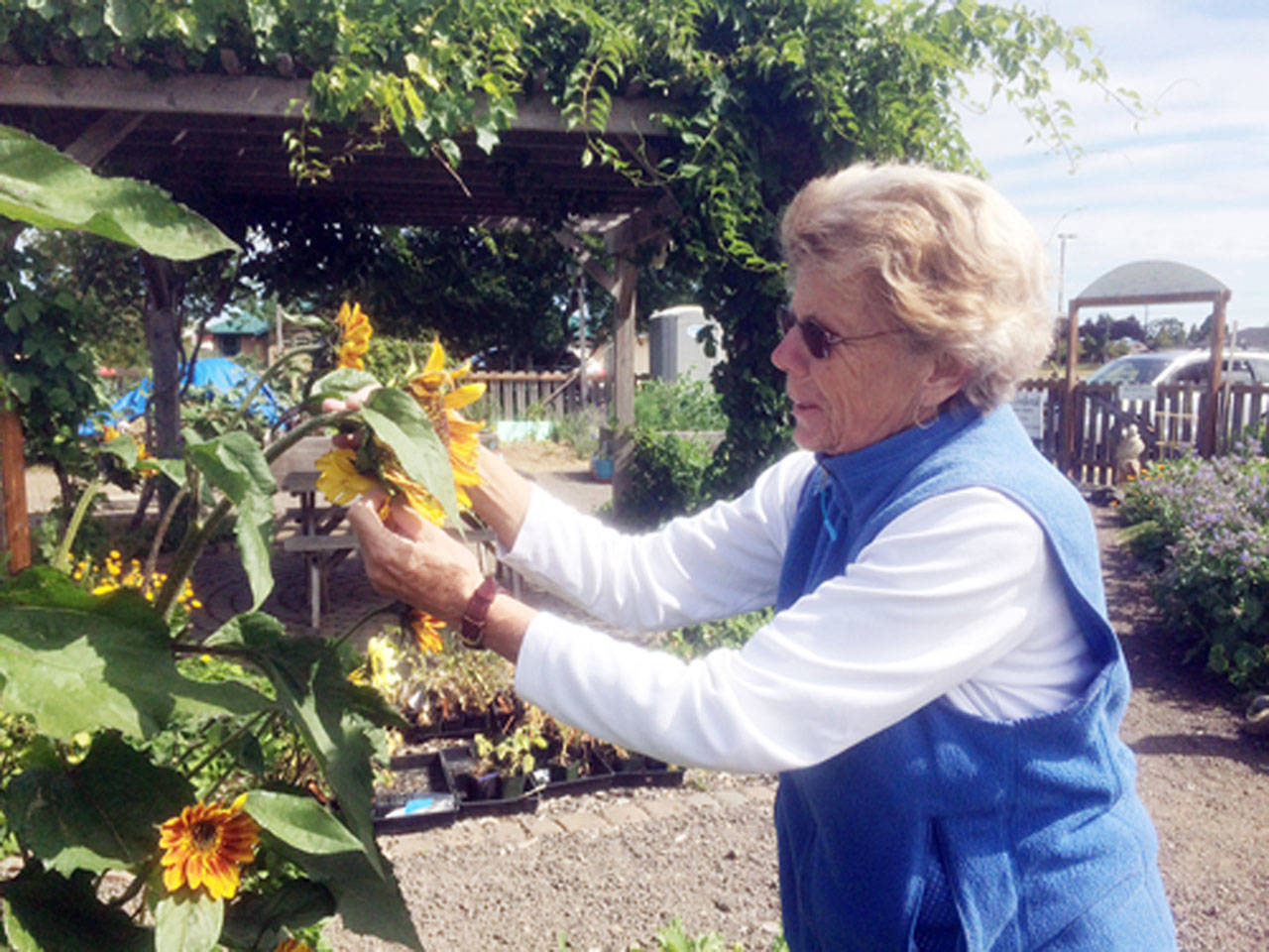 Pam Larsen leads a talk about how to keep one’s organic plantings pest-free at Nash’s Farm Store on Aug. 10.                                 Submitted photo