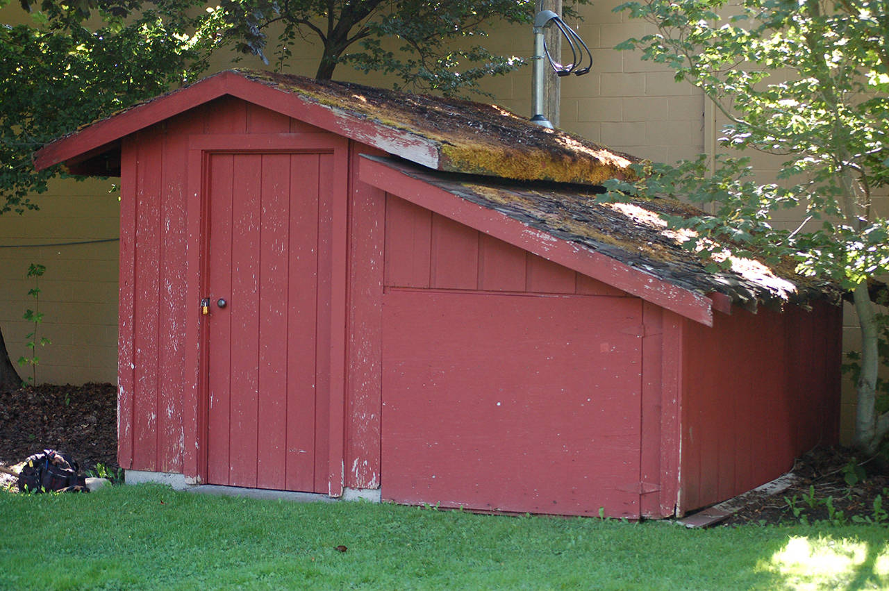 The Pioneer Memorial Park storage shed before Ian Thill and his crew of friends started removing the roof as part of his Eagle Scout project. The shed has changed little in the more than 30 years since it was built to serve as the park’s pumphouse. Sequim Gazette photo by Conor Dowley
