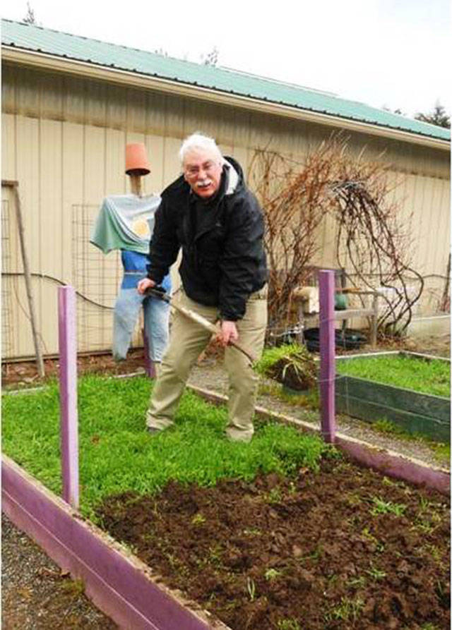 Master Gardener Bob Cain offers information on using cover crops in home gardens on Sept. 12 in Port Angeles. Photo courtesy of Bob Cain