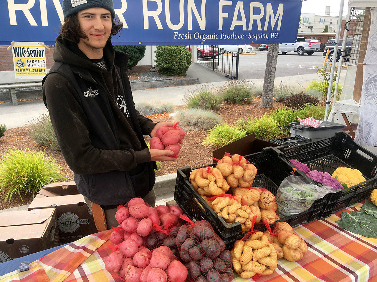 Noah Lowe showcases this seasons delicious potatoes at the River Run Farm booth. Photo courtesy of April Hammerand/Sequim Farmers Market