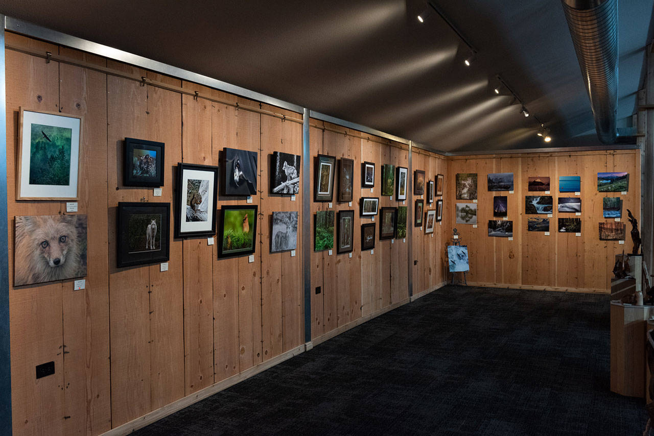 The Olympic Peaks Camera Club’s “From the Forest” exhibit shows at the Judith McInnes Tozzer Gallery at Sequim Museum & Arts through Sept. 28. Photo by Ken Kennedy/Olympic Peaks Camera Club