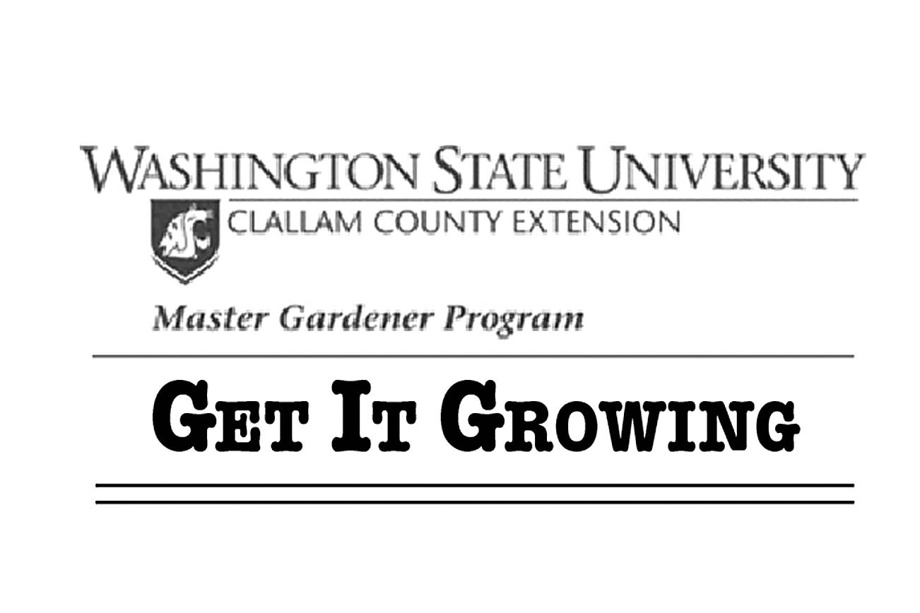Get It Growing: Five steps to putting the garden to bed
