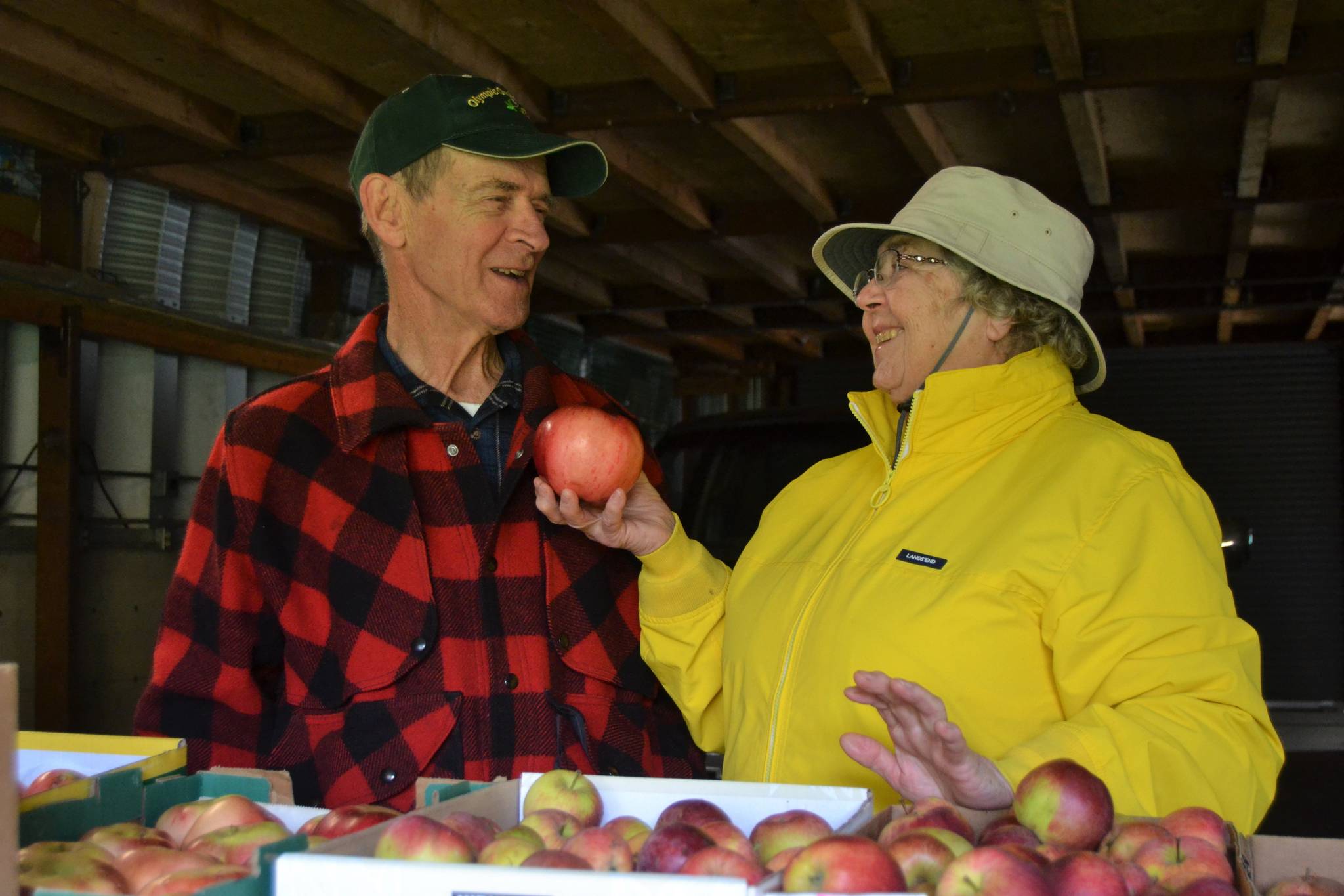 Alan and Leilani Kingsbury say they’ve grown fruit together for more than 35 years. They moved to Sequim more than 10 years ago and attribute some of their orchard’s success to the Olympic Orchard Society’s support, which hosts its show Nov. 2 in Trinity United Methodist Church. Sequim Gazette photo by Matthew Nash