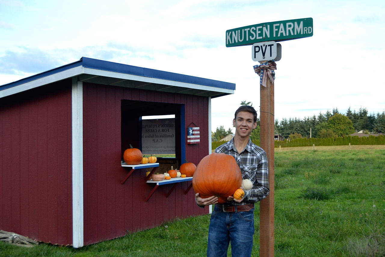 Come Oct. 19, Carson Holt will have sold “Pumpkins for a Cause” for seven years. He plans to donate his proceeds to the Civil Air Patrol and Captain Joseph House. Last year, he raised $1,900 for the two groups. Sequim Gazette photo by Matthew Nash