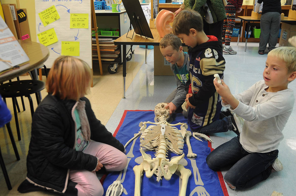 From left, Helen Haller students Hannah Baublits, Riley Spargo, Racin Bush and Wyatt Estep — all from Ione Marcy’s first-grade class — study an interactive exhibit of the human skeleton that can be taken apart and put back together.