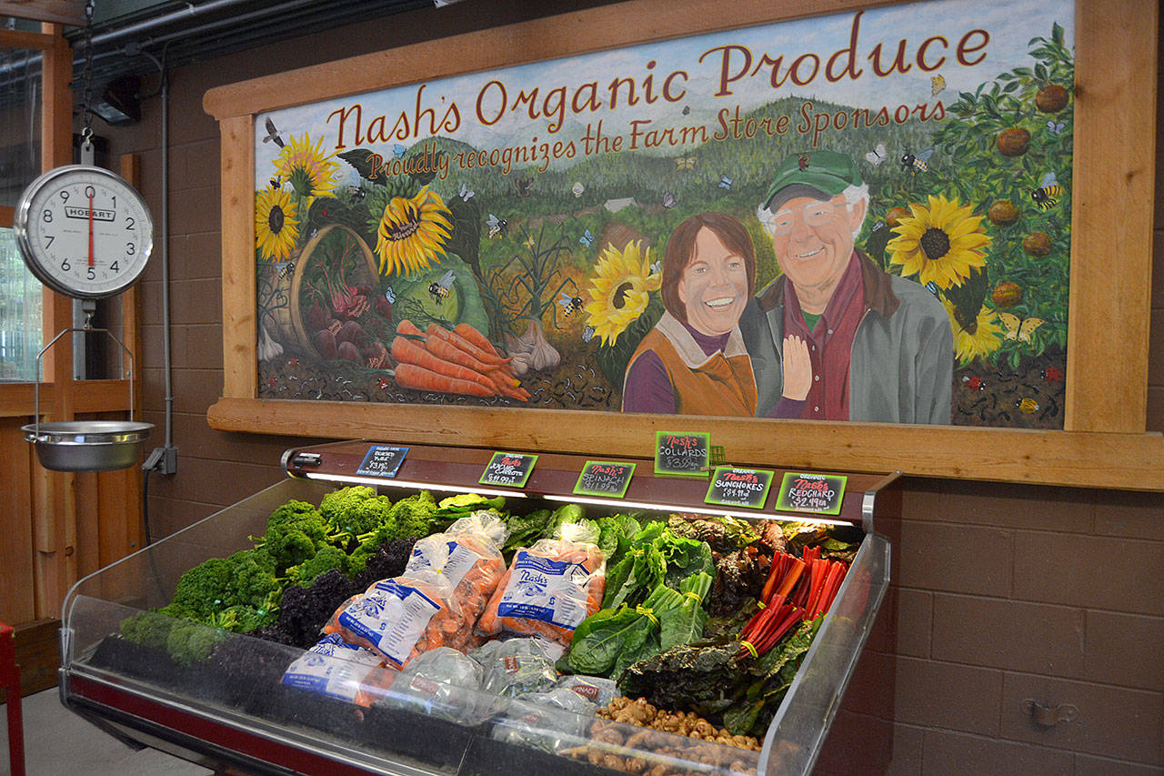 After operating a full grocery store in Dungeness for more than eight years, owners of Nash’s Organic Produce are downsizing the farm store while continuing to sell Nash’s produce, grain, flour and pork. Sequim Gazette photo by Matthew Nash