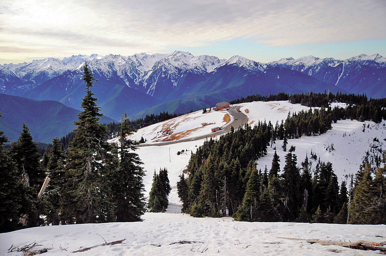 Enjoy skiing, snowboarding, tubing, snowshoeing hiking and more at Hurricane Ridge this winter. Sequim Gazette file photo by Michael Dashiell
