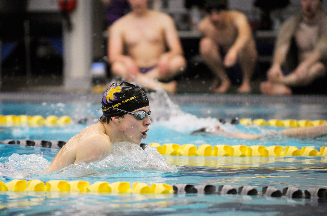 Sequim’s Kaleb Needoba swims the 200 individual medley as the Wolves host klahowya on Jan. 23. Needoba has qualified for the postseason all eight individual events and looks to earn a state meet berth in the 200 free and 100 butterfly at the district meet this week. Sequim Gazette photo by Michael Dashiell