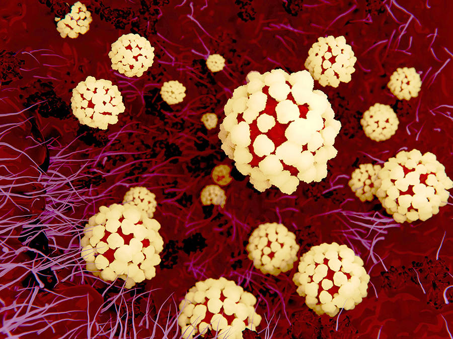 Risk of coronavirus ‘not a serious threat’ on Peninsula