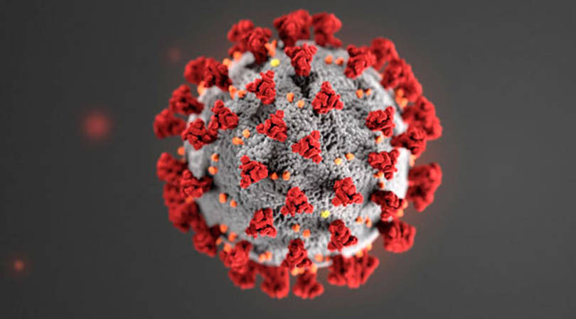 Coronavirus cases grow to 11 on peninsula
