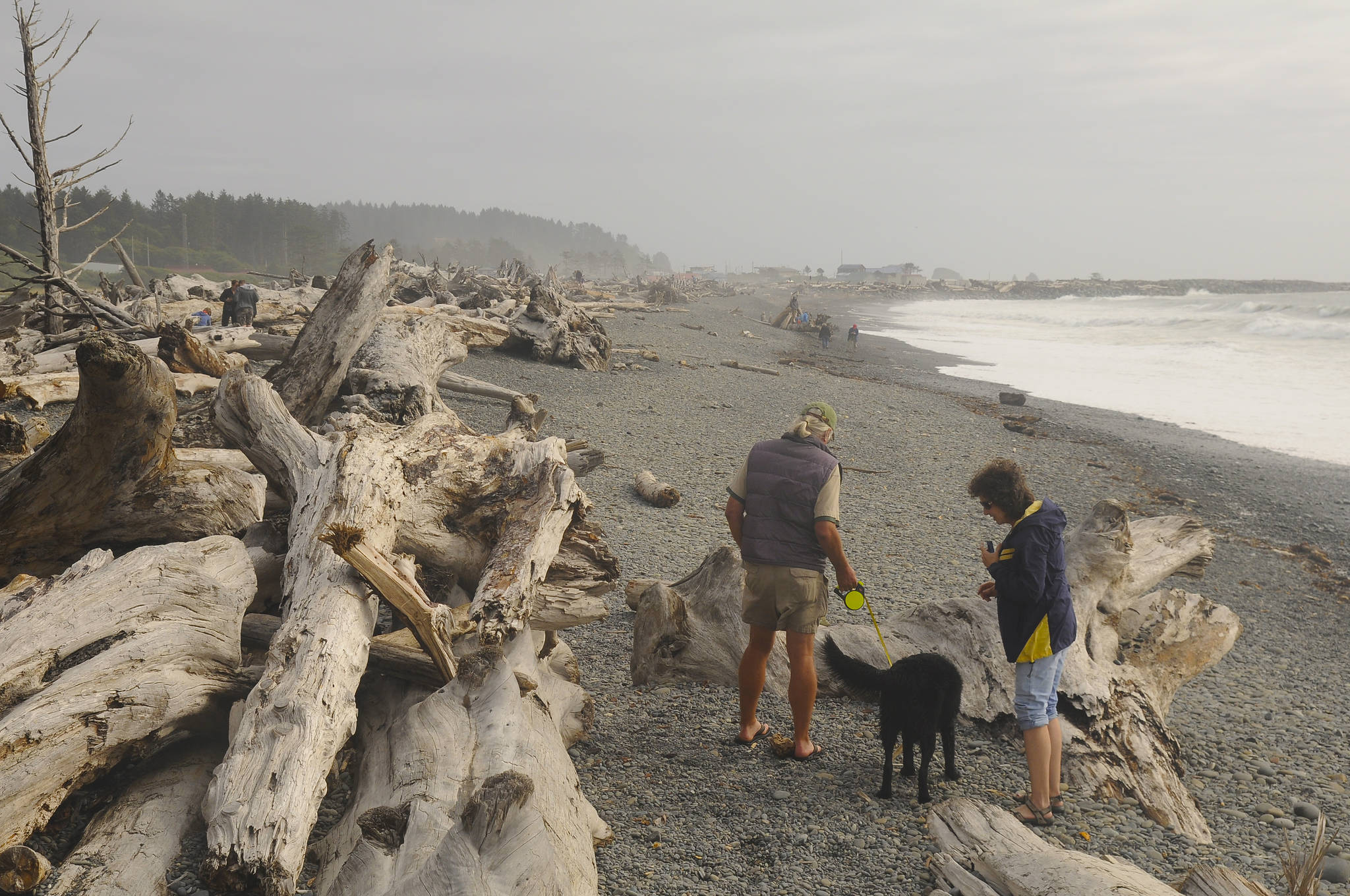 Olympic National Park has closed its park service-managed beaches and coastal areas on the Olympic Peninsula to park visitors - including Rialto Beach (pictured here in August 2019) - to help slow the spread of the novel coronavirus. Sequim Gazette file photo by Michael Dashiell