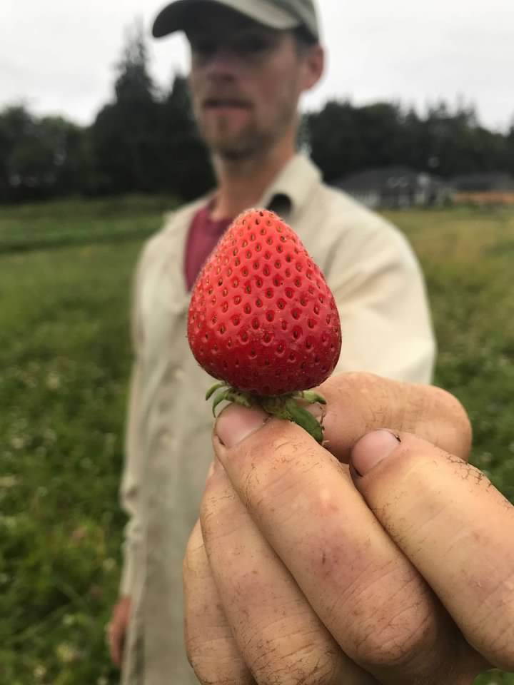 Baylyn Rose shows off the fruits of the labor at Joy Farm, a regular presence at the Sequim Farmers and Artisans Market each May. Photo courtesy of Elli Rose
