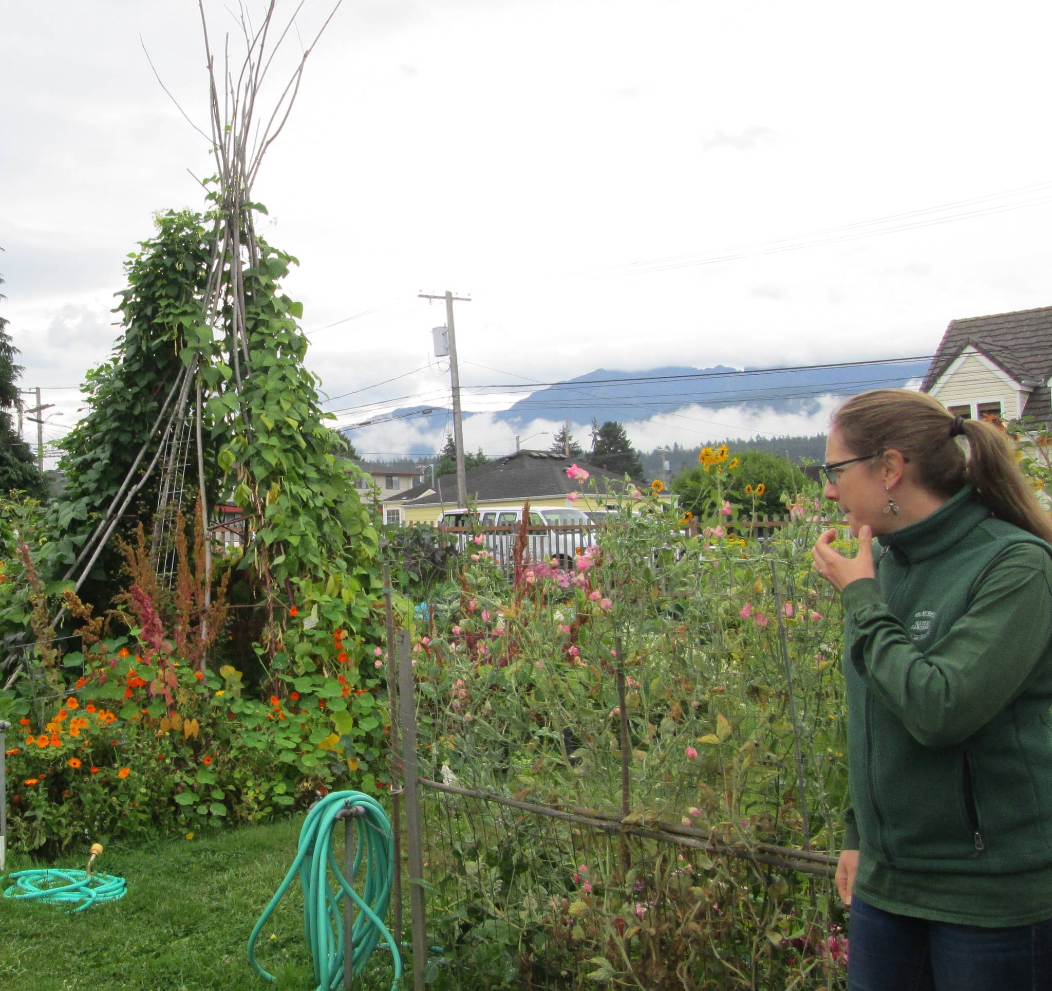 Laurel Moulton, pictured here at the 5th Street community garden in Port Angeles, hosts a presentation on “Growing Legumes for Fresh Eating and Storage” on May 14. Photo courtesy of Laurel Moulton