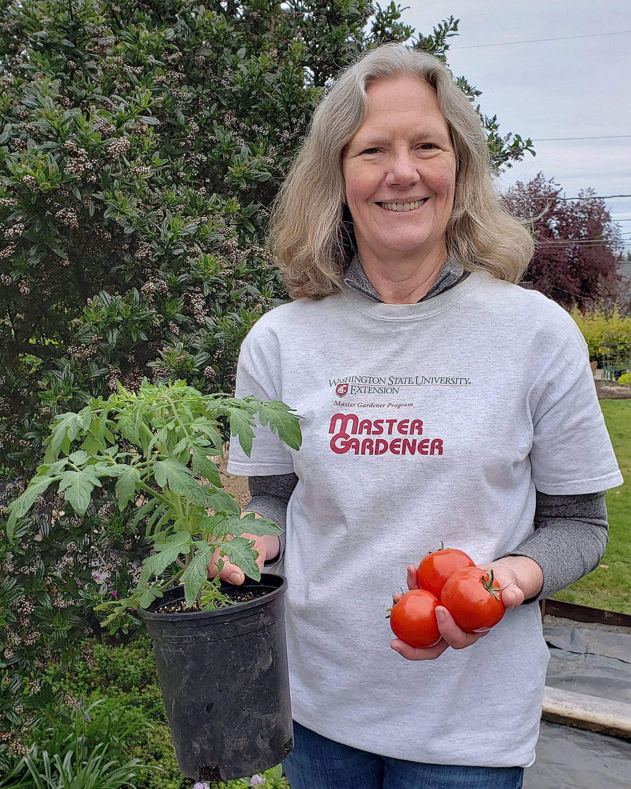 Master Gardeners to talk growing tomatoes