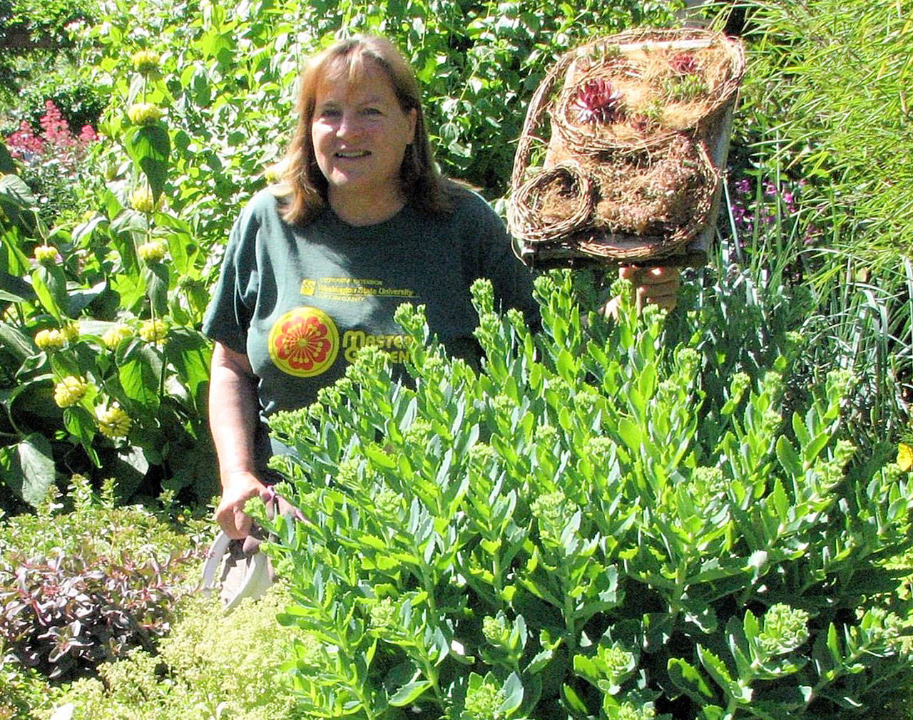 Clallam County Master Gardener Susan Kalmar discusses simple drip irrigation systems in her Green Thumbs Garden Tips Zoom presentation on June 25. Photo courtesy of Susan Kalmar