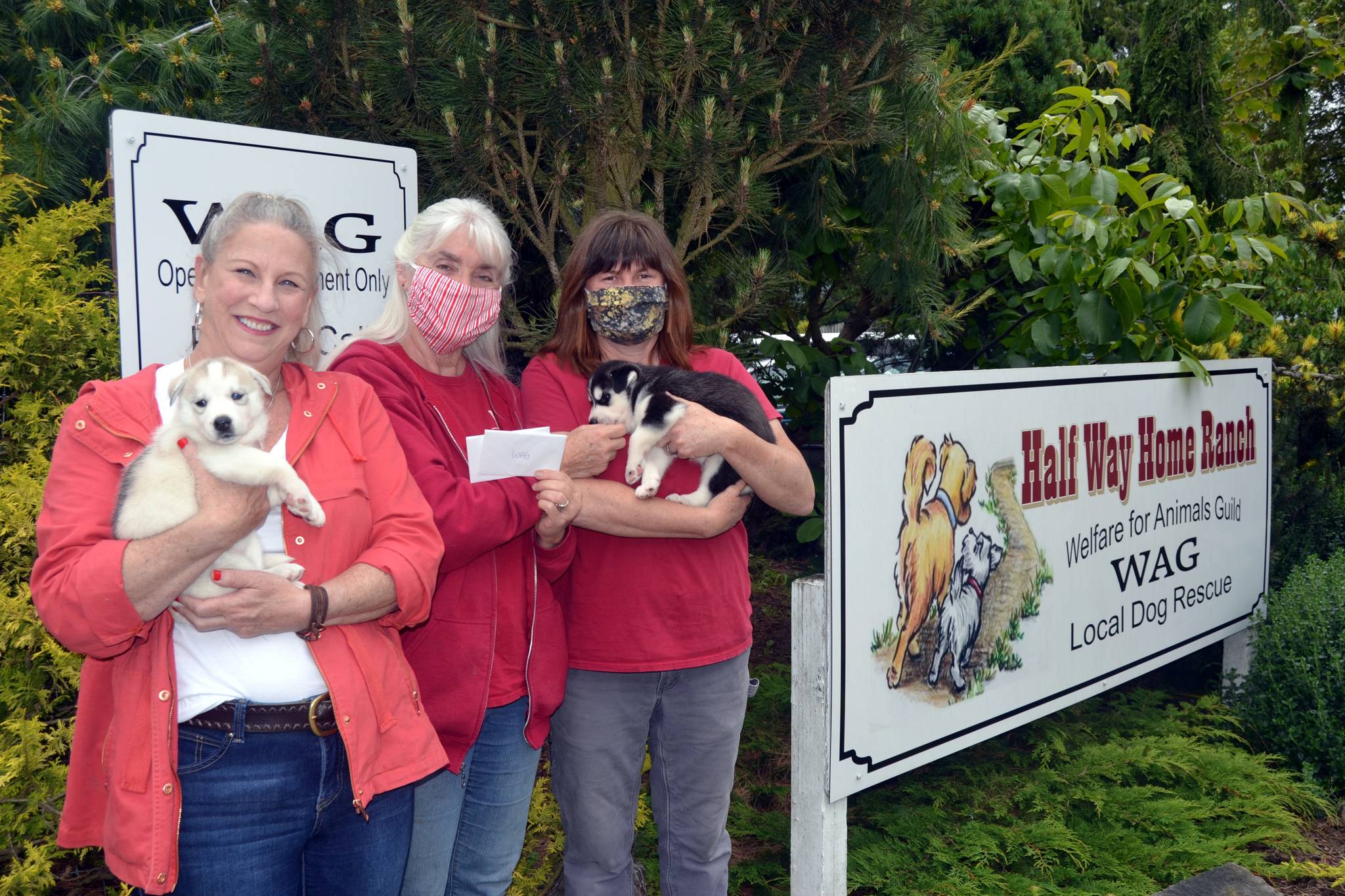 Real estate broker Karen Willcutt with Town & Country, on left, holds Zeke, a husky puppy, as she donates $1,000 from recent home sales to the Welfare for Animals Guild president Barbara Brabant and ranch manager Mel Marshall, holding Zuri the husky puppy. Sequim Gazette photo by Matthew Nash