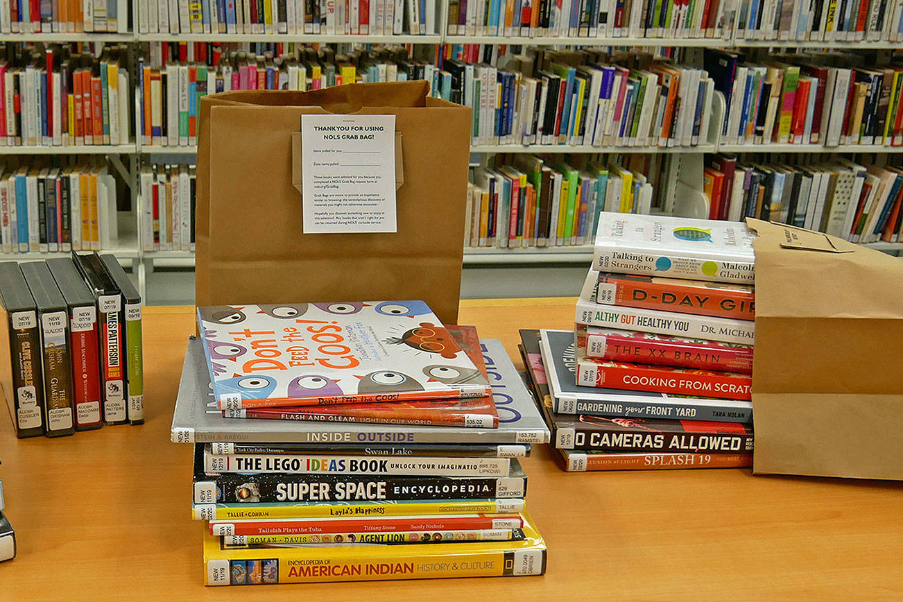 ‘Grab Bag’ program leaves browsing to librarians